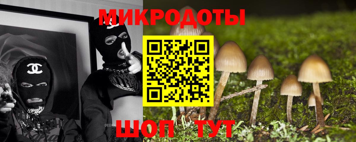 Псилоцибиновые грибы прущие грибы  Псилоцибиновые грибы мицелий  Лангепас  Вход с VPN 